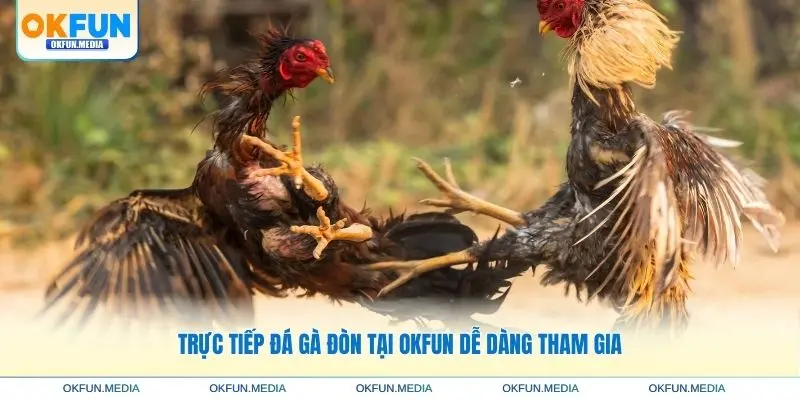 truc-tiep-da-ga-don-de-dang-tham-gia